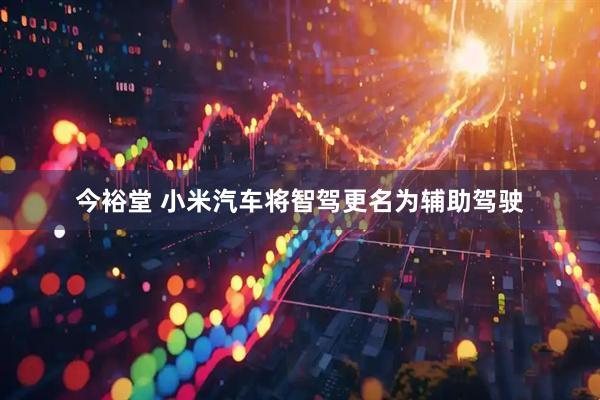 今裕堂 小米汽车将智驾更名为辅助驾驶