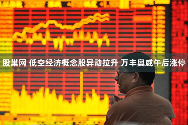 股巢网 低空经济概念股异动拉升 万丰奥威午后涨停