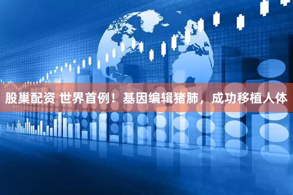 股巢配资 世界首例！基因编辑猪肺，成功移植人体