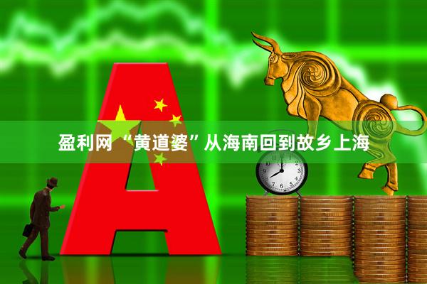 盈利网 “黄道婆”从海南回到故乡上海