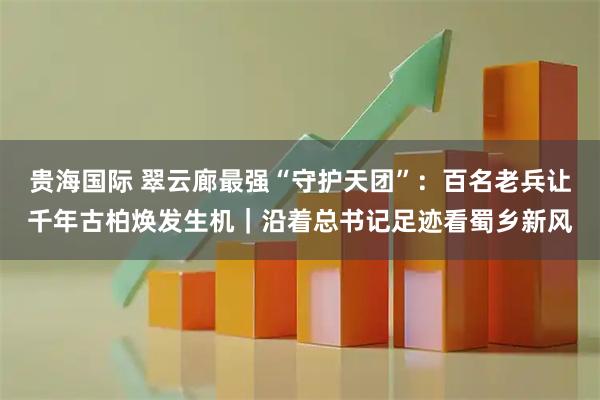 贵海国际 翠云廊最强“守护天团”:百名老兵让千年古柏焕发生机|沿着总书记足迹看蜀乡新风