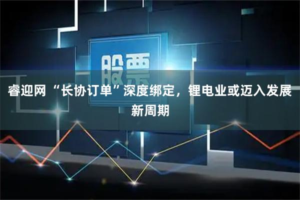 睿迎网 “长协订单”深度绑定，锂电业或迈入发展新周期