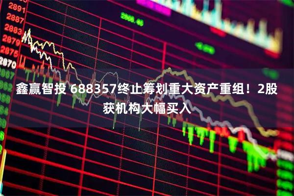 鑫赢智投 688357终止筹划重大资产重组!2股获机构大幅买入